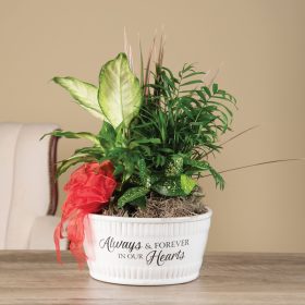"Always & Forever" Dish Garden