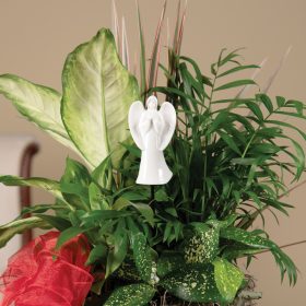 "Angel" Plant Pick