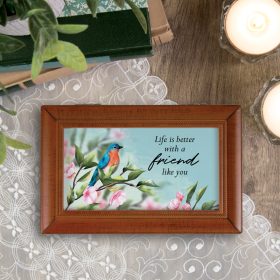 "Friend Like You" Music Box