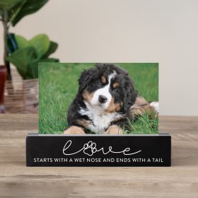 "Love Pet" Photo Bar