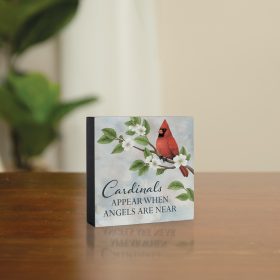 Cardinals Appear Mini Square Sitter