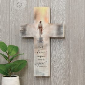 For I Know The Plan Wall Cross