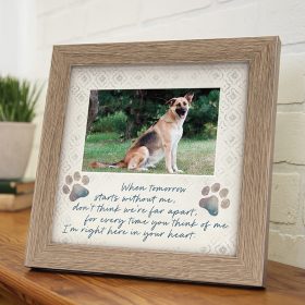 "Tomorrow Pet" Frame