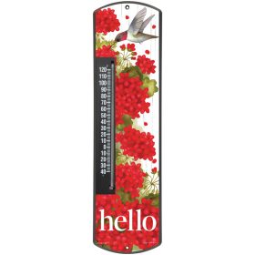 "Hello Hummingbird" Thermometer
