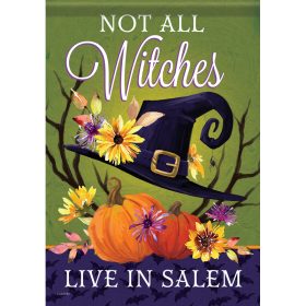 "Witch Hat" Durasoft™ Flag - Garden 12.5 x 18