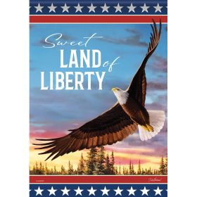 "Patriotic Flight" Dura Soft™ Garden Flag - Garden 13 x 18