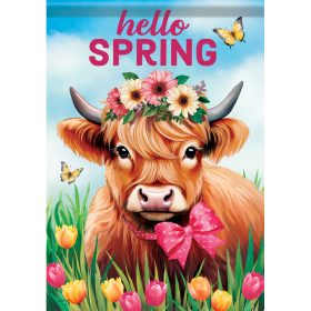 "Hello Spring" Dura Soft™ Garden Flag - Large 28 x 40
