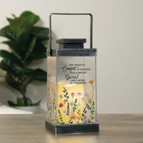 Special -  Lantern