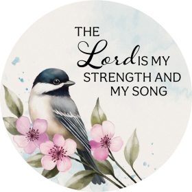 Lord is my Strength Car Coaster