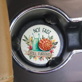 Not Fast Car Coaster