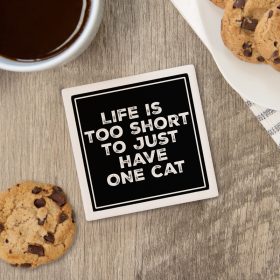 One Cat Square House Coaster - Bulk