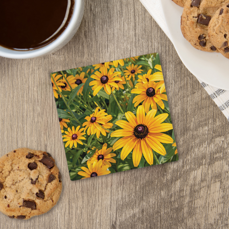Black Eyed Susan House Coaster