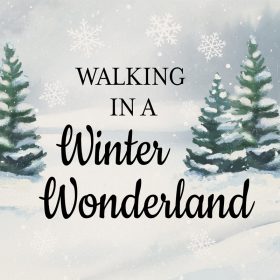 Winter Wonderland - Square  Coater Bulk