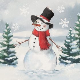 Winter Snowman - Square  Coater Bulk