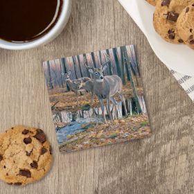 "Whitetail Deer" Square House Coaster - Bulk