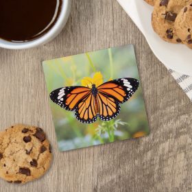 "Monarch Butterfly" Square House Coaster - Bulk