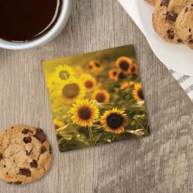 "Sunflowers" Square House Coaster - Bulk