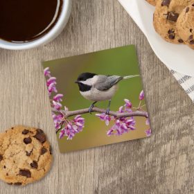 "Chickadee Photo" Square House Coaster - Bulk