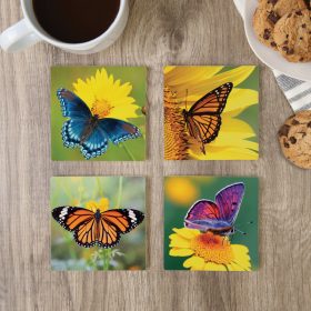 "Butterfly" Square House Coaster Set