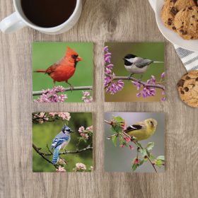 "Bird Photo" Square House Coaster Set